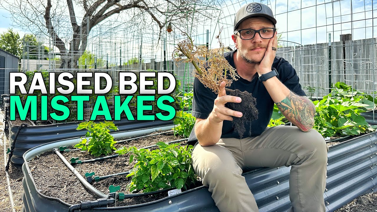 Raised Bed Gardening Mistakes to Avoid